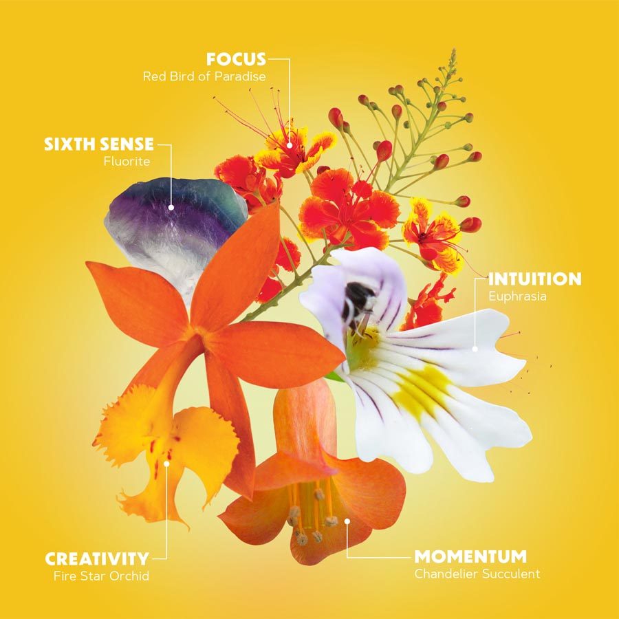 Inspired Action-Flower Collage