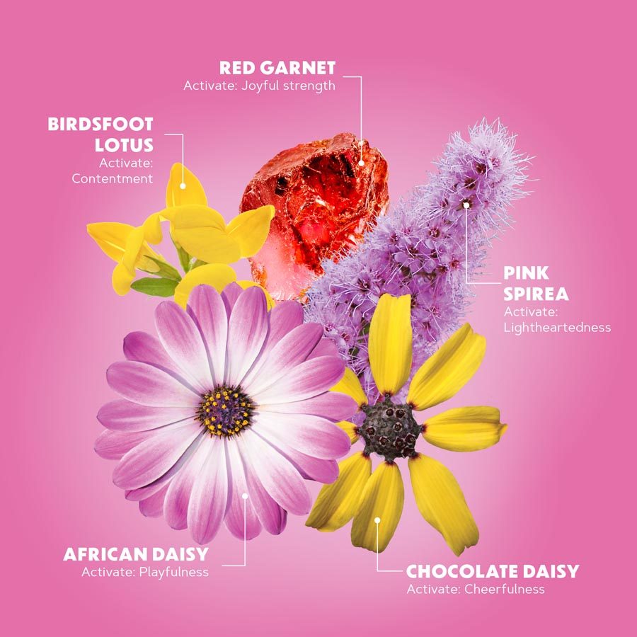 Joy Juice Flower Collage
