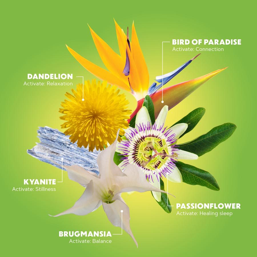 Flower collage for Lotuswei Quiet Mind Flower Essence