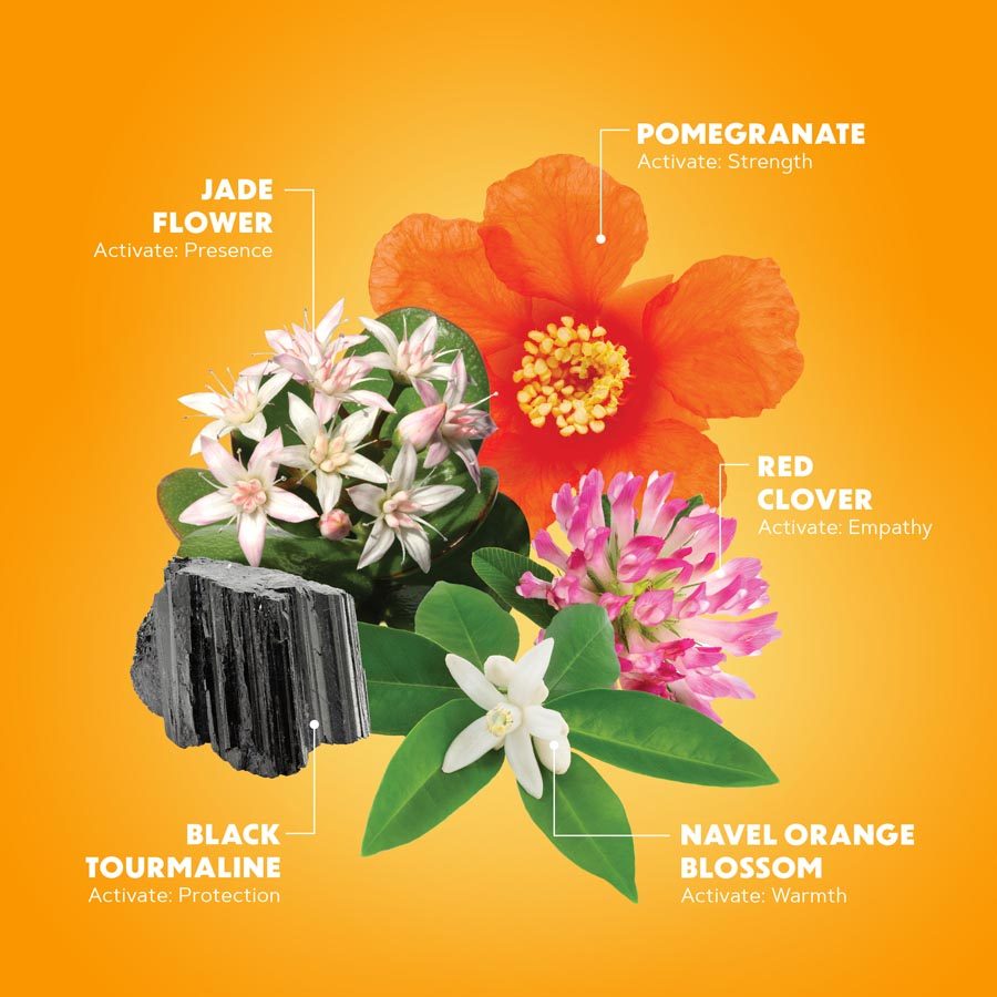Radiant Energy Flower Collage